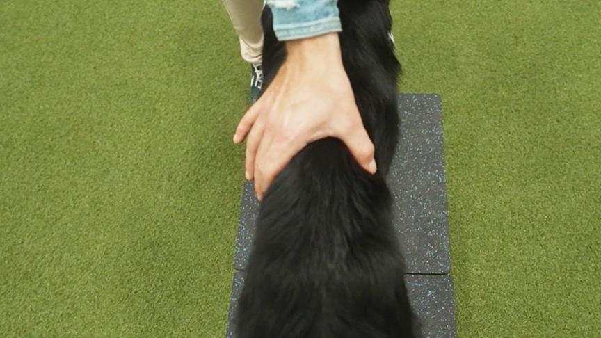 Check 2: Mit den eigenen Fingern probieren, ob ich die Rippen spüren kann.