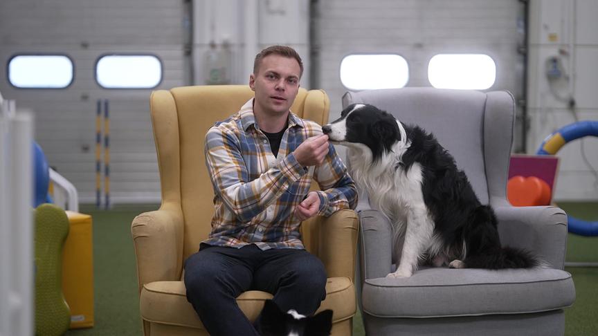 Ein Mann und ein Hund sitzen jeweils auf einem Sessel nebeneinander, der Hund schnüffelt an der Hand des Mannes