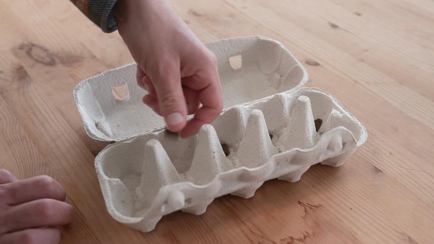 Ein Mann streut Hundeleckerli in einen leeren Eierkarton