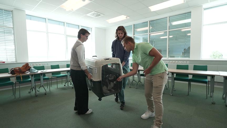 Ein Hund ist in einer großen Kasten-Transportbox. Zwei Personen heben diese Box. Der Hundcoach reicht durch die Gittertür der Box, Leckerlis an den Hund.