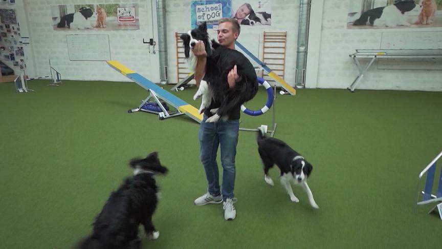 Hundecoach in einer Indoortrainingshalle für Hunde. E trägt einen Hund auf den armen, zwei weitere laufen um ihn herum. Darum herum stehen mehrere Hundetrainingsgeräte und Hürden.