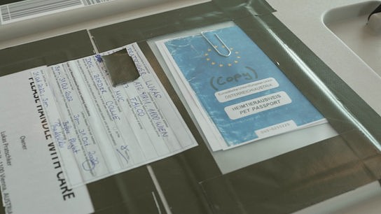 Eine Kopie eines Heimtierausweises und weitere Daten zum Halter und Hund, angebracht an einer Transportbox.