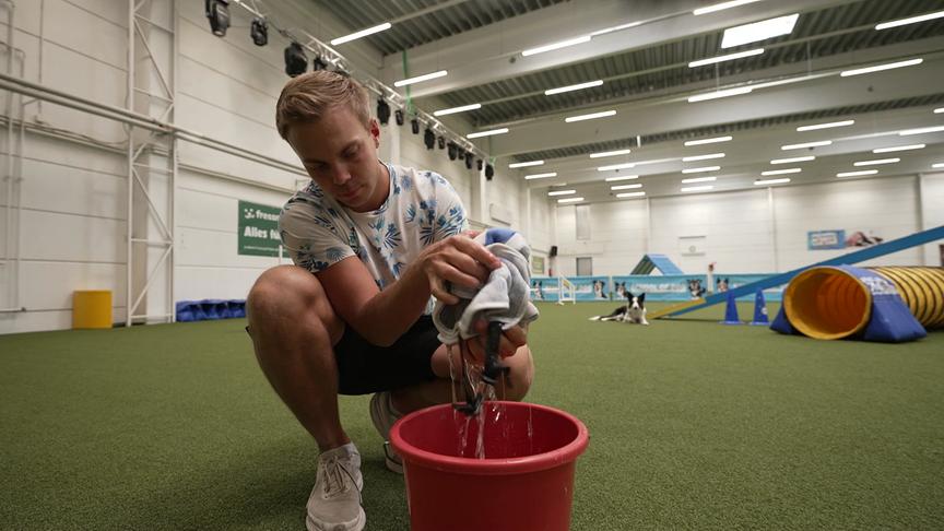 © Foto: ORF Der Hundecoach tränkt eine Hundekühlweste in einem roten Eimer mit Wasser.