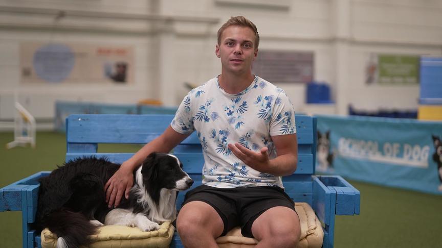 © Foto: ORF Hundecoach Lukas Pratschker sitzt mit seinem schwarz-weißen Langhaarhund neben sich auf einer blauen Palettenbank.