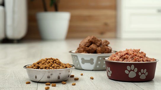 © Foto: iStock/ Liudmila Chernetska Drei Futternäpfe mit Fertigfutter