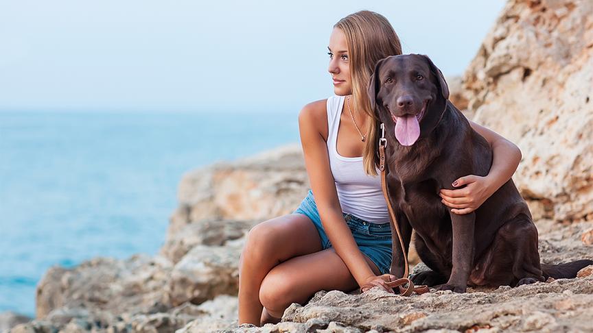 Ein Hund sitzt mit seinem Frauchen auf einem Felsen mit Blick aufs Meer