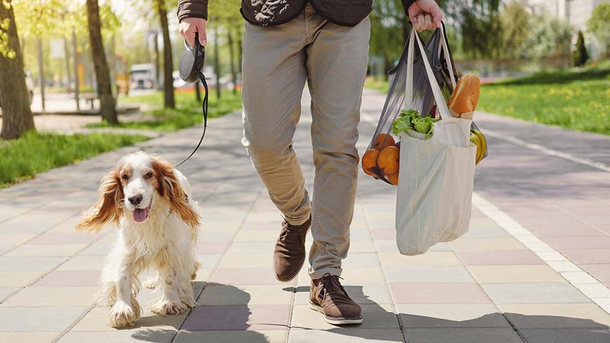Ein Mann mit Einkaufssackerl geht mit einem Hund spazieren.