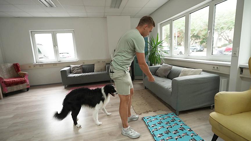 Lukas Pratschker richtet mit einer Decke einen Rückzugort für den Hund her.