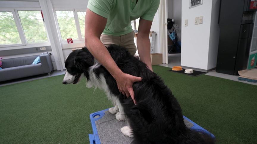 © ORF Hundetrainer Lukas Pratschker mit seinem Hund "Turner"