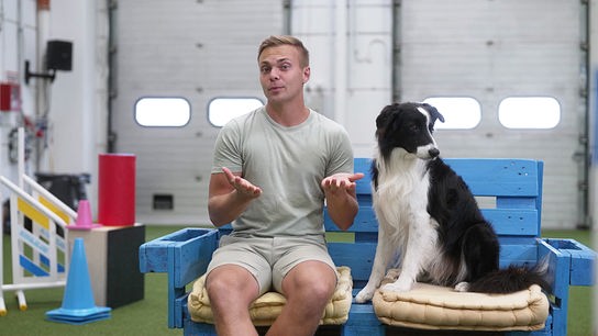Hundecoach Lukas Pratschker gibt Tipps.