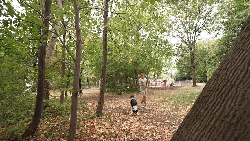 Hundecoach Lukas Pratschker macht einen herbstlichen Spaziergang mit seinem Hund.