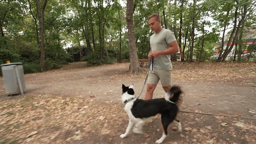Hundecoach Lukas Pratschker macht einen herbstlichen Spaziergang mit seinem Hund.