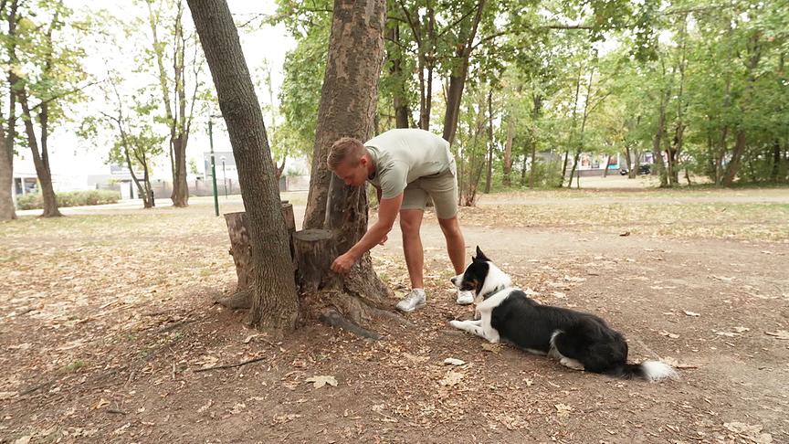 Lukas Pratschker versteckt ein Hunde-Leckerli auf einem Baumstamm.