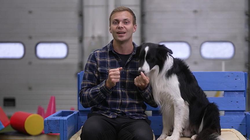 © Foto: ORF Hundecoach Lukas Pratschker