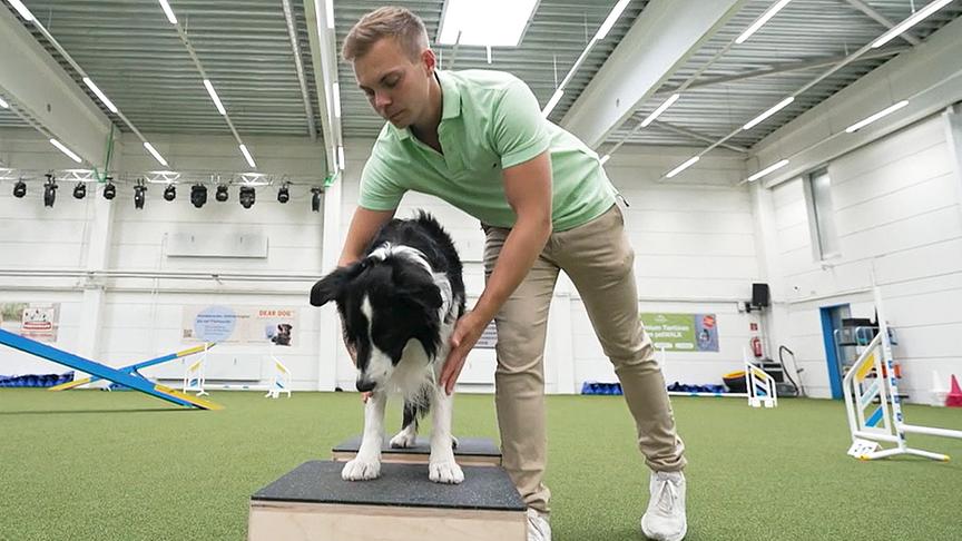 Hundecoach Lukas Pratschker zeigt, wie man den Hund auf einen Arztbesuch vorbereiten kann.