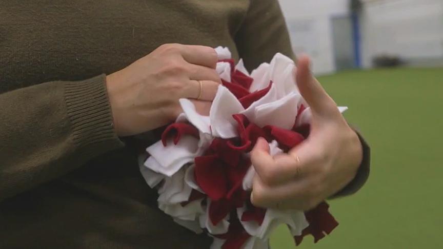 © Foto: ORF Hundecoach Lukas Pratschker zeigt, wie man einen Schnüffelball für Hunde selber macht.