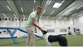 Hundetrainer Lukas Pratschker erklärt, wie man einem Hund beibringen kann, auf Befehl Taschentücker zu holen.