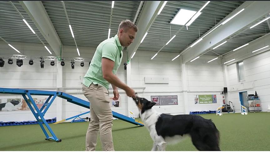 Hundetrainer Lukas Pratschker erklärt, wie man einem Hund beibringen kann, auf Befehl Taschentücker zu holen.