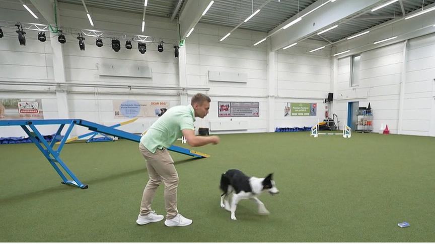 Hundetrainer Lukas Pratschker erklärt, wie man einem Hund beibringen kann, auf Befehl Taschentücker zu holen.