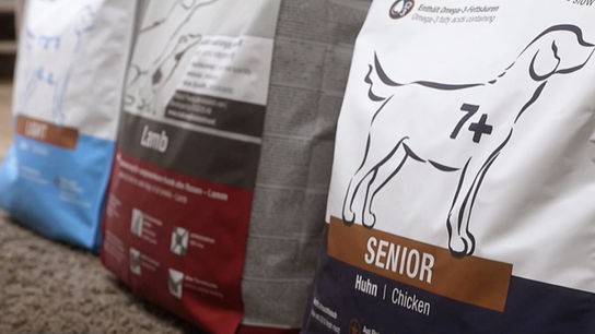 Spezielles Seniorenfutter für Hunde