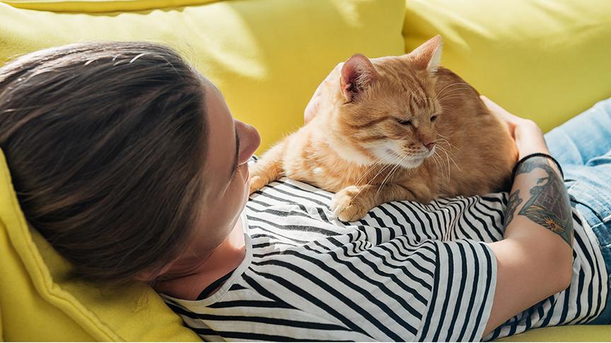 Eine junge Frau kuschelt auf der Couch mit ihrer Katze