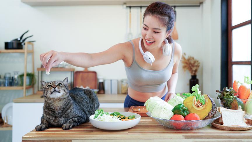 © Foto: iStock/ Thidarat Kwangten Eine Katze wird am Küchentisch gefüttert.