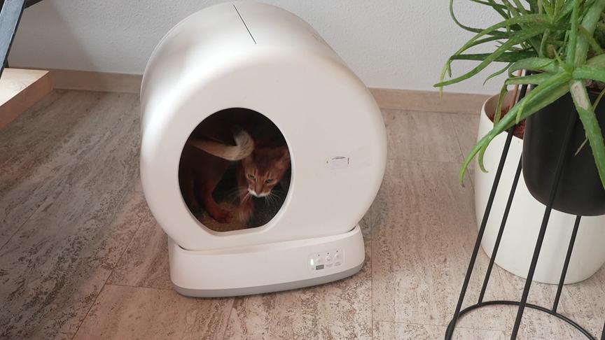 Katzenklo mit großer Eingangsöffnung.