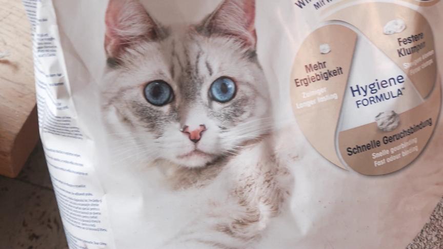 Katzenstreu, empfohlen von Katzenexpertin Petra Ott.