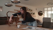 Eine Frau ist gerade dabei, eine Katze vom Esstisch zu heben.