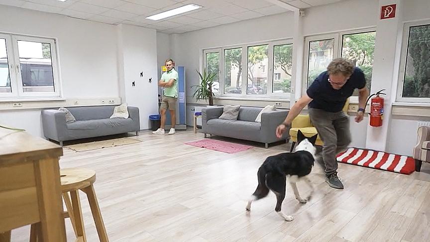 Auch andere Personen sollten sich mit dem Hund beschäftigen können. Damit kann man Trennungsängsten vorbeugen.