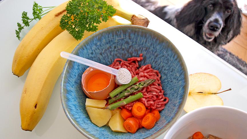© Foto: Julia Brunhofer Leckerlis und Snacks am am besten in die tägliche Futter-Ration miteinrechnen.