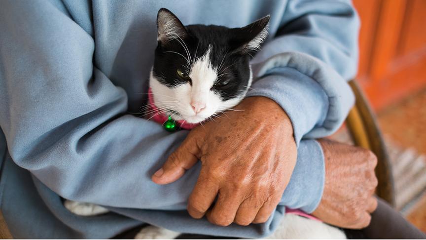 Ein Pensionist hält eine Katze im Arm