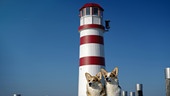 Die Welsh Corgi Brüder Bud und Terence vor dem Leuchtturm in Podersdorf.
