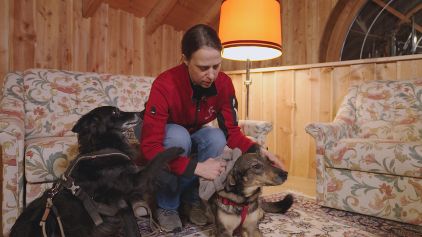 © Foto: ON-MEDIA Marianne Wondrak reinigt Hunde mit einem Mikrofasertuch.