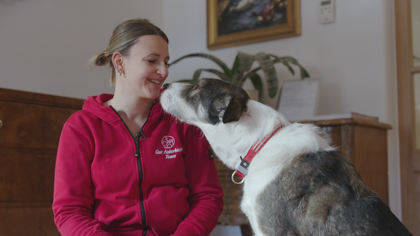 © Foto: ON-MEDIA Hund "Elvis" bedankt sich bei Sabine Mosböckhofer mit einem Küsschen.