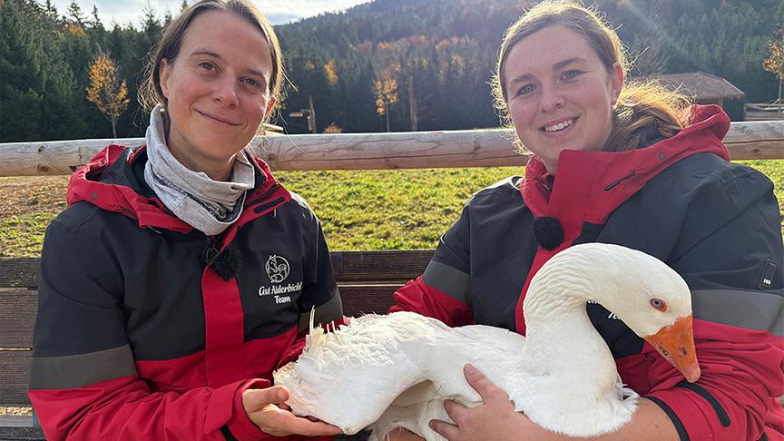 © Foto: ON-Media Marianne Wondrak und Stefanie Greiner mit Gänserich Martin