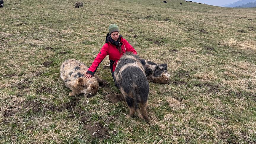 Marianne Wondrak trainiert Schweine
