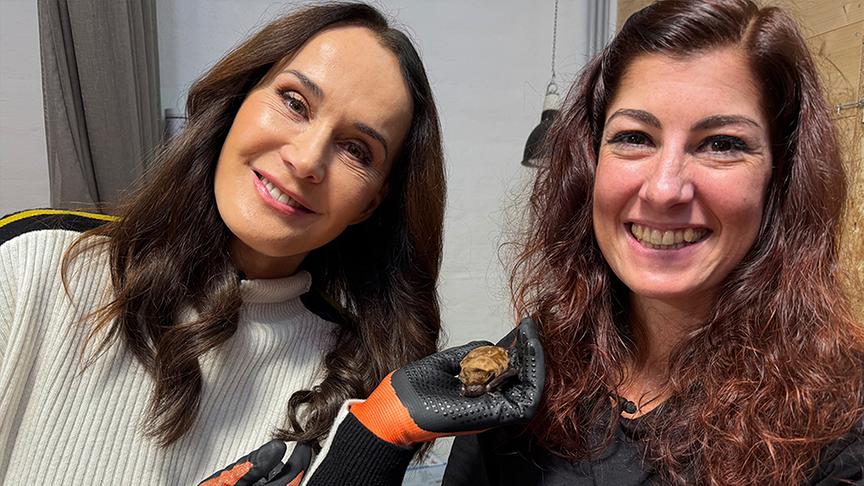 © Foto: ON-Media Auf der Fledermausstation