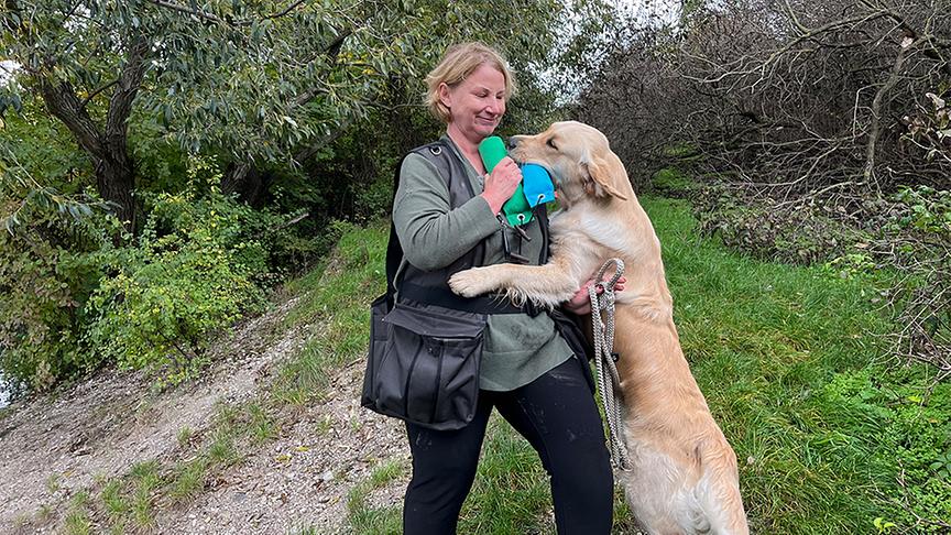 © Foto: On-Media "Tierische Augenblicke" stellt die Hunderasse Golden Retriever vor