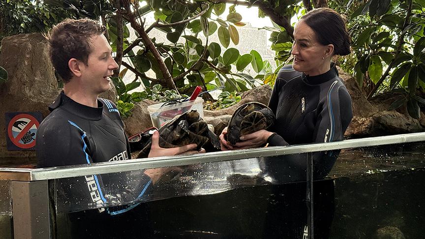 Maggie Entenfellner und Zoodirektor Jeff Schreiner reinigen das Schildkrötenbecken.