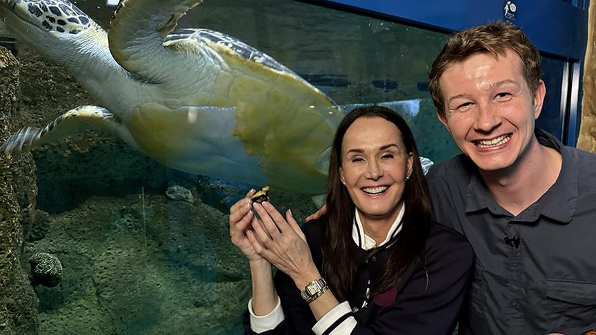 Maggie Entenfellner und Zoodirektor Jeff Schreiner bei der Meeresschildkröte "Puppi". In der Hand hält Maggie eine Babyschildkröte.