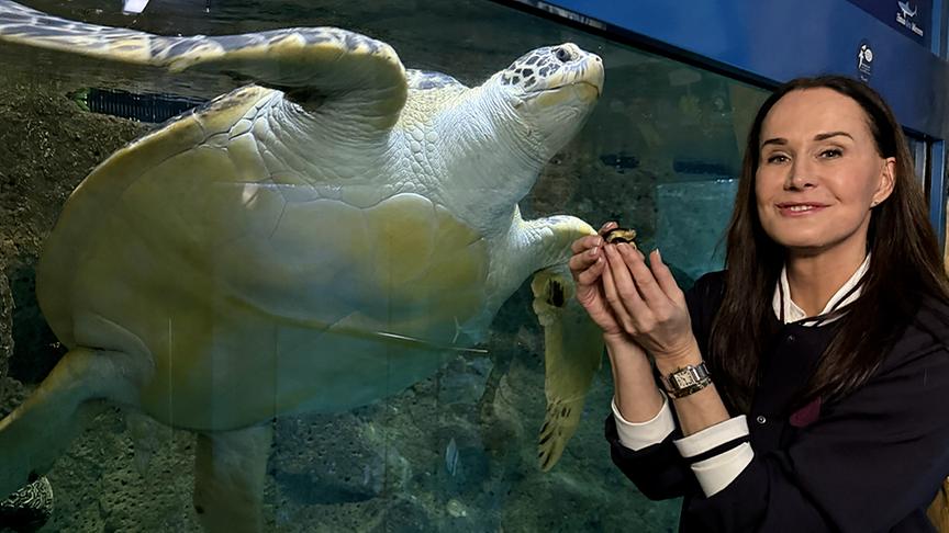 Maggie Entenfellner vor dem Becken der Meeresschildkröte "Puppi". Sie hält eine Babyschildkröte in der Hand.
