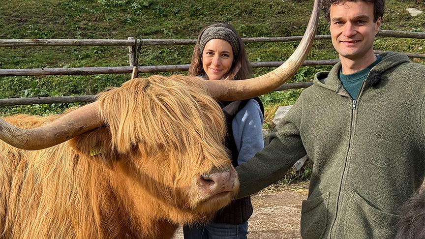 © Foto: On-Media Kuhkuscheln mit Hochlandrindern.