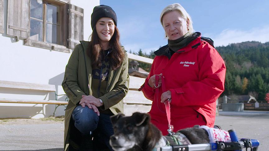 © Foto: ON-Media Maggie Entenfellner auf Gut Aiderbichl