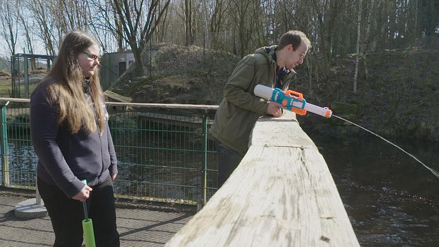 Katharina Weiss und Thomas Kainz spritzen "ihre" Otter mit einer Spritzpistole ab.
