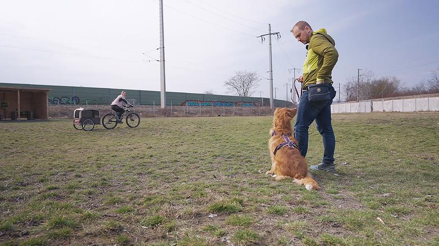 © Foto: ON-MEDIA Die Hundtrainerin fährt auf einem Rad mit Hundeanhänger mit Abstand an ihrem Hund "Heidi" vorbei.