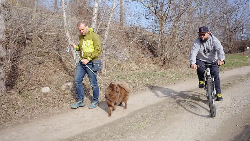© Foto: ON-MEDIA Ein Fahrradfahrer fährt sehr nahe an Sascha und Hund "Heidi" vorbei.