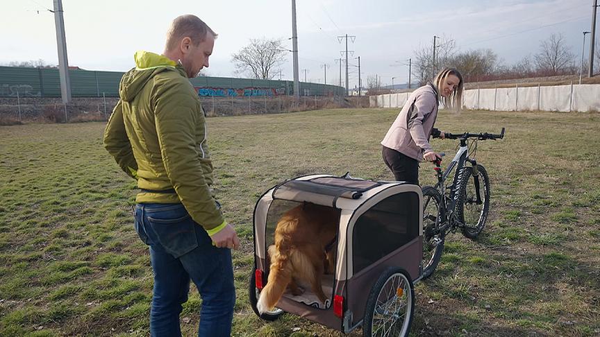 © Foto: ON-MEDIA Daniela Linsbauer trainiert mit Sascha und Hund "Heidi" das Einsteigen in einen Fahrradanhänger für Hunde.