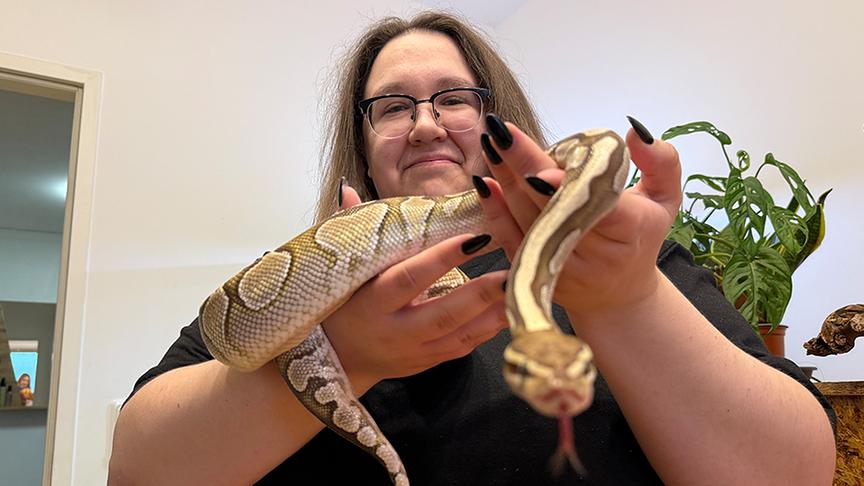 © Foto: ON-Media Simone zeigt ihre Schlangen