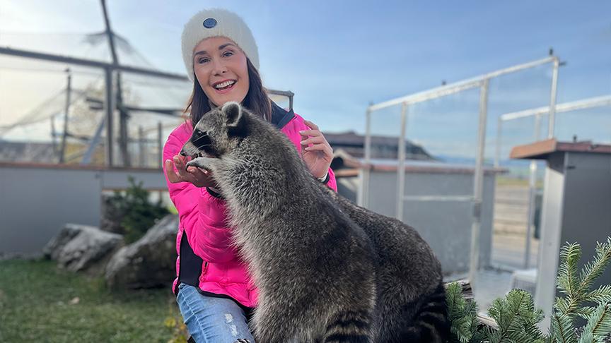 © Foto: On Media Maggie Entenfellner füttert einen Waschbären